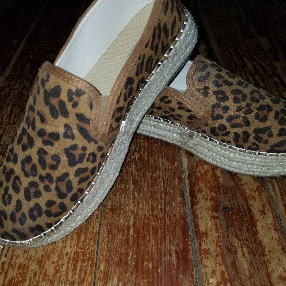 Cheetah platforms
